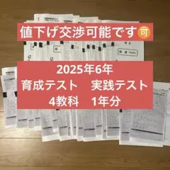 2026年最新】育成テスト前期の人気アイテム - メルカリ