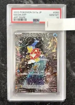 m61237697840_1.jpg?1769734522