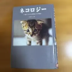 2026年最新】坂崎幸之助 本の人気アイテム - メルカリ