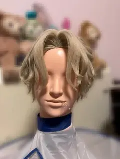 2026年最新】エイリアンステージ ルカ ウィッグの人気アイテム - メルカリ