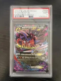 2026年最新】ガブリアスex プロモ psa10の人気アイテム - メルカリ