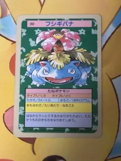 2026年最新】トップサン フシギバナの人気アイテム - メルカリ