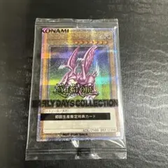 2026年最新】ホーリーナイトドラゴン 25thの人気アイテム - メルカリ