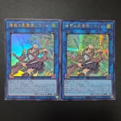 2026年最新】風霊使いウィンの人気アイテム - メルカリ