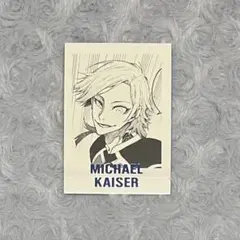 2026年最新】ぱしゃこれ カイザーの人気アイテム - メルカリ