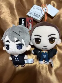 2026年最新】東峰旭 ぬいぐるみの人気アイテム - メルカリ