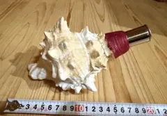 2026年最新】ホラガイの人気アイテム - メルカリ