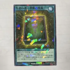 2026年最新】遊戯王ラッシュデュエル生者の書禁断の呪術の人気アイテム