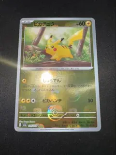 m62307962996_1.jpg?1772553346