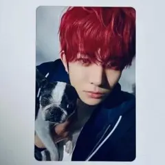 ENHYPEN アンケート トレカ JAKE ジェイク - メルカリ