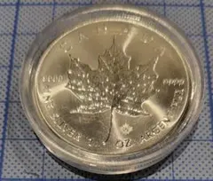 2026年最新】メイプルリーフ銀貨の人気アイテム - メルカリ