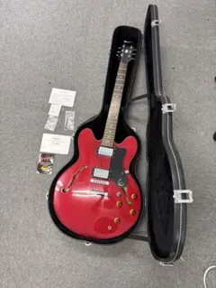 2026年最新】epiphone ハードケースの人気アイテム - メルカリ