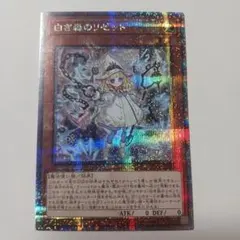 2026年最新】白き森のリゼット シークレットの人気アイテム - メルカリ