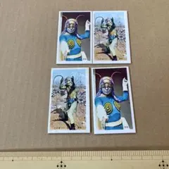 2026年最新】サラセニアンの人気アイテム - メルカリ