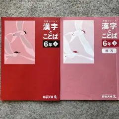 2026年最新】四谷大塚 予習シリーズ 6年 下の人気アイテム - メルカリ