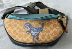 2026年最新】coach レキシー ポーチの人気アイテム - メルカリ