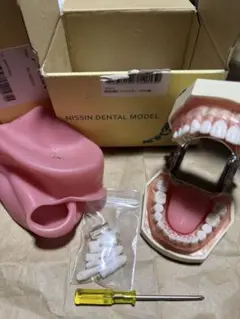 2026年最新】歯 模型 nissinの人気アイテム - メルカリ