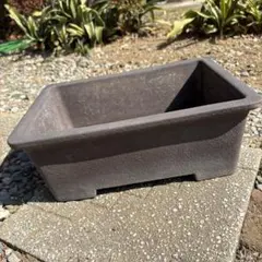 2026年最新】盆栽鉢 長方形の人気アイテム - メルカリ