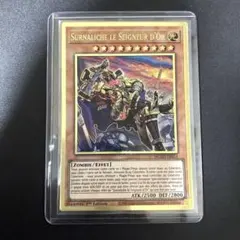 2026年最新】黄金卿エルドリッチ 英語の人気アイテム - メルカリ