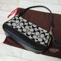 2026年最新】コーチ シグネチャー 6094の人気アイテム - メルカリ