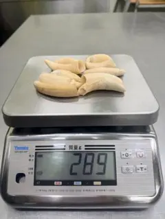 2026年最新】クジラの歯の人気アイテム - メルカリ