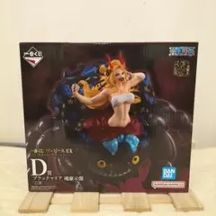 m74168479001_1.jpg?1772299284