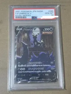 m74249669554_1.jpg?1771131823