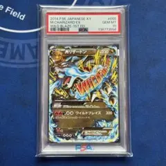 2026年最新】mリザードンex psa10の人気アイテム - メルカリ