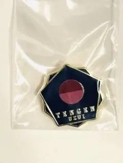 2026年最新】柱百景 コレクションピンズの人気アイテム - メルカリ