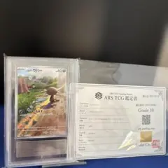 2026年最新】ウパー psa10の人気アイテム - メルカリ