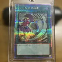 2026年最新】ハーピィの羽根箒 25th 絵違いの人気アイテム - メルカリ