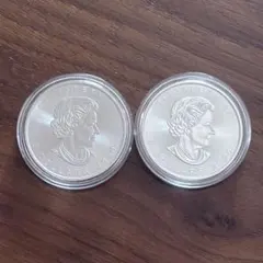 2026年最新】メイプルリーフ銀貨の人気アイテム - メルカリ