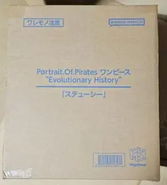2026年最新】ステューシー フィギュア ワンピースの人気アイテム