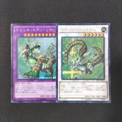 2026年最新】ナチュル パルキオン シークレットの人気アイテム - メルカリ