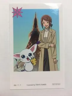 2026年最新】八神ヒカリの人気アイテム - メルカリ