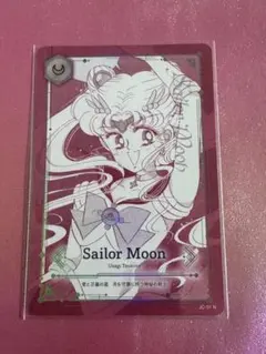 2026年最新】jimmy choo セーラームーン カードの人気アイテム - メルカリ