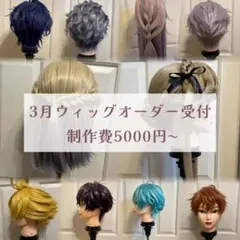 2026年最新】ウィッグオーダーの人気アイテム - メルカリ