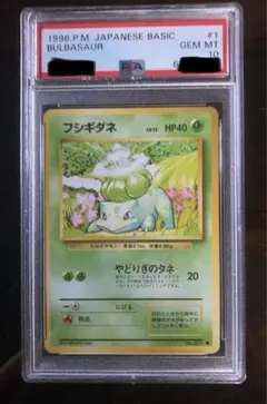 2026年最新】フシギダネ 旧裏 psaの人気アイテム - メルカリ