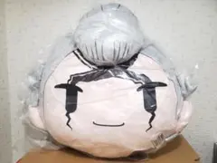 2026年最新】dr.stone スタンリー フェイスクッションの人気アイテム