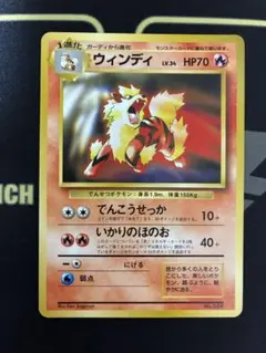 2026年最新】ウィンディ プロモの人気アイテム - メルカリ