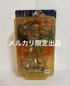 2026年最新】フィギュア タイガージェットシンの人気アイテム - メルカリ