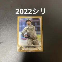 2026年最新】ブレイクスネルの人気アイテム - メルカリ