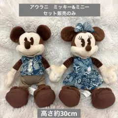 2026年最新】アウラニ ミッキーの人気アイテム - メルカリ