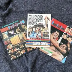 2026年最新】新日本プロレスパンフレットの人気アイテム - メルカリ