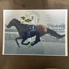 2026年最新】横山武史サインの人気アイテム - メルカリ