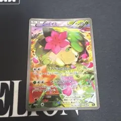 2026年最新】シェイミ 004/036の人気アイテム - メルカリ