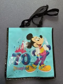 2026年最新】カリフォルニアディズニーエコバッグの人気アイテム