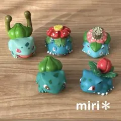 2026年最新】フシギダネ、フシギソウ、フシギバナの人気アイテム