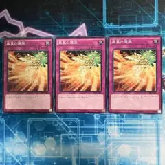 2026年最新】鳳翼の爆風の人気アイテム - メルカリ