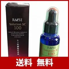 2026年最新】レイズソリューションの人気アイテム - メルカリ